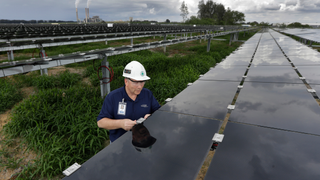 Trump Administration Targets Imported Solar Panels for Huge Tariffs